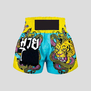 Shorts de Muay Thai en satin, pour la boxe, la gym, le karaté, l'entraînement, les combats, légers, pour les arts martiaux, équipement actif - Product Image 1