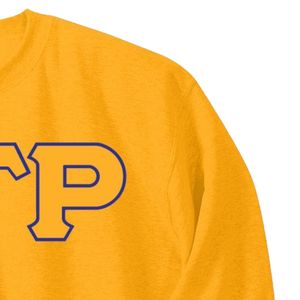 Sudadera con letras griegas Sigma Gamma Rho, jersey de cuello redondo con 3 letras, forro polar personalizado para hermandades, top informal unisex de moda urbana - Product Image 4