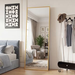 Specchio a Figura Intera Infrangibile 65"x24" con Cornice Dorata Fatta a Mano per Ingresso - Product Image 2