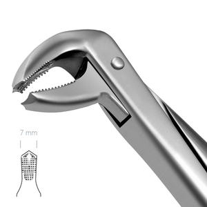 Forceps d'extraction dentaire 73, modèle anglais, pour molaire inférieure, instrument chirurgical en acier inoxydable - Product Image 2