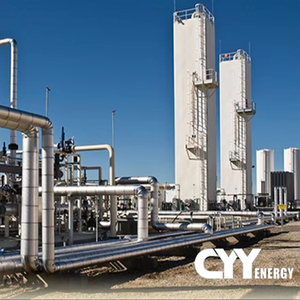 整套销售 CYY Energy 5000Nm/h LNG再气化装置，带PLC齿轮箱轴承和远程控制，中国制造 - Product Image 1