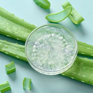 100% NATURAL ALOE VERA <b>JELLY</b> READY TO EAT CUP DESSERT FOOD GRADE EXPORT QUALITY - Product Image 4