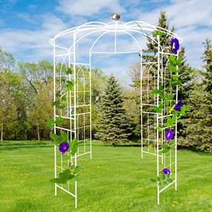 Arco da Giardino in Ferro a Forma di Gabbia per Uccelli, Pergola per Cerimonie Nuziali 81.3FT X 114.2FT, Gazebo in Metallo per Giardino - Product Image 2