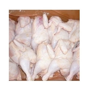 ไก่แช่แข็งฮาลาลคุณภาพรับรอง/ ปีกไก่แช่แข็ง/ ไก่ทั้งตัวแช่แข็ง - Product Image 2