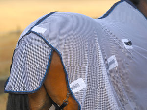 Durable Lightweight Cotton Filled Horse Rug Summer Type with <b>Black</b> Binding Mesh Combo Design - Product Image 3