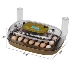 Incubatrice Automatica per 24 Uova con Rotazione Automatica, Controllo Digitale LED della Temperatura e Umidità, 110V, per Pollame - Product Image 2