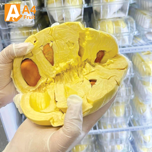 ทุเรียนมันทองพรีเมียม รสหวานธรรมชาติ เนื้อแท้ รสชาติบริสุทธิ์ 500 กรัม แช่เย็น ขายส่ง แพ็ค 14 วัน - Product Image 2
