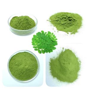 Poudre de feuilles de Moringa 100 % de qualité alimentaire, marque privée, pour l'énergie, la résistance, la gestion du poids et le soutien immunitaire pour hommes et femmes - Product Image 6