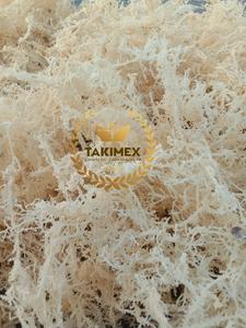 Sac de 10kg de mousse de mer dorée séchée de Sainte-Lucie du fournisseur du Vietnam utilisé pour la fabrication de gel de smoothie - Product Image 6