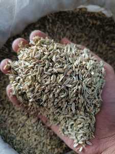 Productos agrícolas de hinojo - Product Image 2