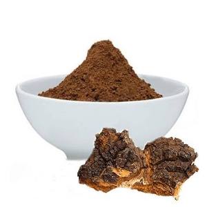 Polvo de Hongo Chaga de Alta Calidad, Extracto de Inonotus Obliquus Silvestre, para Té de Hierbas, Suplementos y Productos para la Salud - Product Image 2