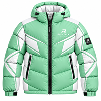 Veste matelassée pour homme de qualité supérieure, chaude et coupe-vent, style sportif avec blocs de couleur, fermeture éclair à capuche, logo frontal, coupe classique