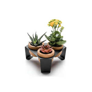 Support de pots en bois modernes pour mini-succulentes, 3 en 1, petit support décoratif de table, pot de fleurs d'intérieur, support de plantes en métal - Product Image 1
