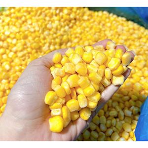 ข้าวโพดหวานแช่แข็ง IQF พรีเมียมจากเวียดนาม ผลิตภัณฑ์ผักธรรมชาติ สำหรับจัดหาขายส่งและบริการด้านอาหาร - Product Image 5