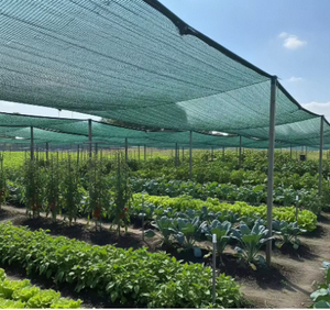 Warp Knitted Grass Green <b>Plastic</b> Shade <b>Net</b> with Cutting Service Made in India by FORTUNE AGRO <b>NET</b> - Product Image 1