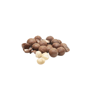 <b>Big</b> Sale Best Selling Vietnam Manufacturer Supply Best Quality Delicious Raw Macadamia Packed in 5kg Bag - Product Image 1