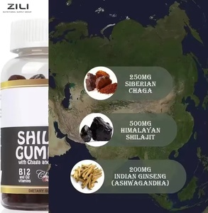 Caramelle Gommose Multivitaminiche Naturali di Shilajit Biologico di Alta Qualità, Confezionate Singolarmente, Senza Additivi - Product Image 4