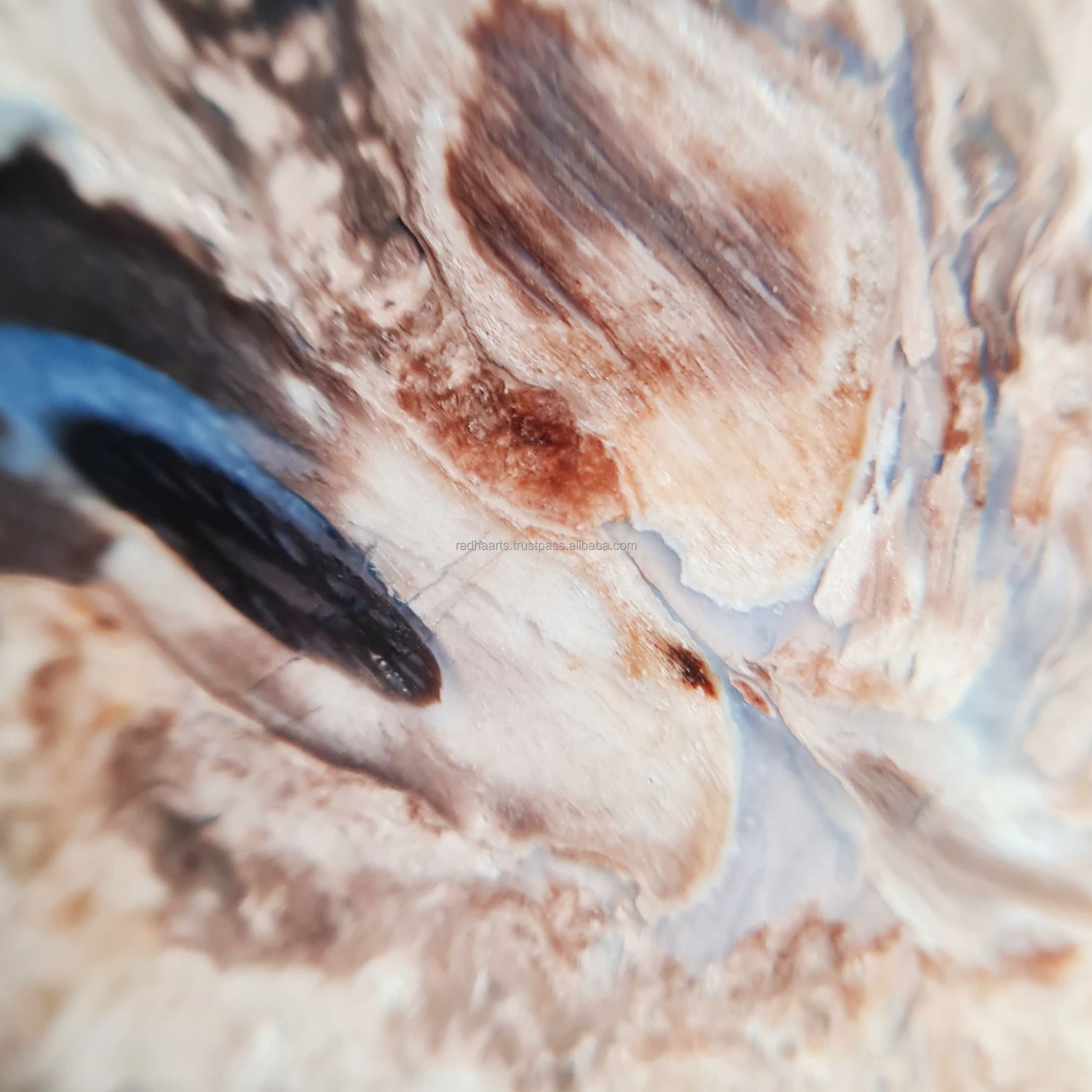 สีน้ำตาลและสีดำ