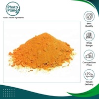 Fournisseur Brésilien Vendant de la Poudre d'Extrait de Fruit d'Acerola de Qualité Supérieure, 100% Pure et Naturelle, de Grade Alimentaire, en Vente