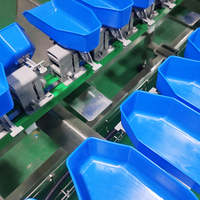 Automatische PLC-gebaseerde industriële sorteermachine voor citrusvruchten en groenten met multifunctionele gewichtsclassificatie