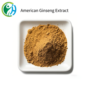 Органический натуральный Американский экстракт корня женьшеня, порошок, 80%, американский гинсенозидный высококачественный генистеин, вакуумный барабан - Product Image 3