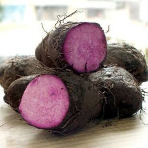 Yamón Morado Congelado al por Mayor, Suministro a Granel, Precio Competitivo, Envasado al Vacío, OEM Disponible - Product Image 6