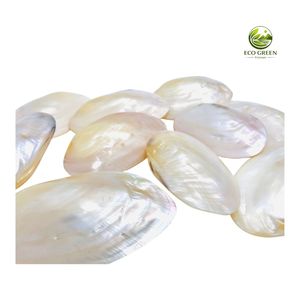 Conchas de Nácar Ovaladas Naturales Pulimentadas Ecológicas al por Mayor para Decoración Costera, Centros de Mesa para Bodas en la Playa - Product Image 1