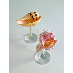 Verre à vin unique en forme de coquillage marin et en verre, parfait pour un usage personnel et pour les établissements hôteliers commerciaux. - Product Image 1