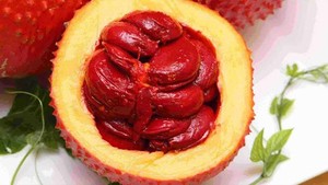 Produit agricole Gac congelé en gros de Sophie's exporté en vrac du Viet Nam - Product Image 2