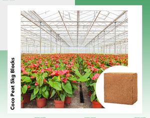 At yatak için Premium kalite Coco hindistan cevizi Pith 5kg blokları - Product Image 5