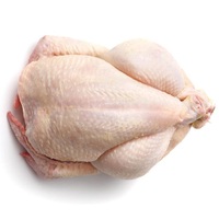 Poulet entier halal congelé de qualité supérieure, poulet entier halal congelé brésilien de qualité supérieure, poulet entier congelé de qualité supérieure pour la vente en gros