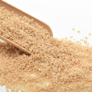 ข้าวกล้องคุณภาพสูงส่งออกจำนวนมาก เกรดอาหารพรีเมียม พร้อมจัดส่ง - Product Image 1
