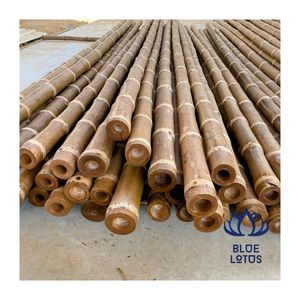 Bambous de qualité supérieure, finition propre, pour le soutien des plantes et l'artisanat, durables, robustes, faciles à travailler, approvisionnement fiable - Product Image 1