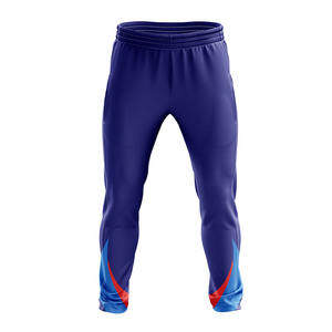 Tenue d'équipe de cricket de haute qualité, ensemble maillot et pantalon personnalisés avec logo, 100% polyester, vêtements de sport légers à manches courtes imprimés - Product Image 2