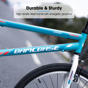 Vélo de montagne pour femmes JOYKIE BAMCBASE, 21 vitesses, cadre en acier Hi-Ten, double frein V, 85% SKD, style Devil, vélo tout-terrain pour femmes - Product Image 2