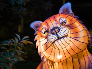 कारखाने अनुकूलन चमकदार सजावट बाहरी क्रिसमस रोशनी 3 डी स्ट्रीट मोटिफ लाइट - Product Image 6