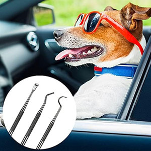 Kit de 3 gratte-dents dentaires pour chiens et chats, double tête en acier inoxydable, outil professionnel manuel pour l'élimination du tartre chez les animaux de compagnie - Product Image 6