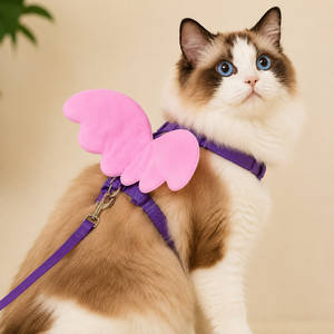 Butterfly Cat <b>Harness</b> OEM ODM Custom Logo Adjustable Soft Mesh Kitten <b>Harness</b> & Leash Set Direct Manufacturer - Product Image 1
