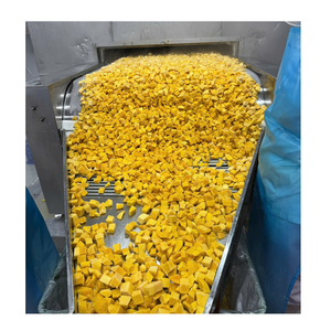 Suministro al por mayor de mango congelado vietnamita para supermercados, distribuidores y marcas de alimentos - Product Image 1