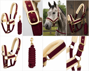 High quality Beautiful Halter Cob Full small Shetland size Halter Durable Horse Halter Premium Horse Halter with Lead rope - Product Image 1
