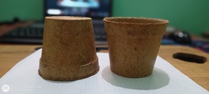กระถางดอกไม้มะพร้าวเป็นมิตรกับสิ่งแวดล้อมน้ำหนักเบาย่อยสลายได้สำหรับใช้ในร่มกลางแจ้งที่มีพืชสีเขียว - Product Image 6