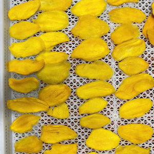 Mango Deshidratado Dulce, Fruta Seca, Snack de Fruta para Supermercados, Marca Privada, Estilo Tropical Masticable, Origen Vietnam - Product Image 1