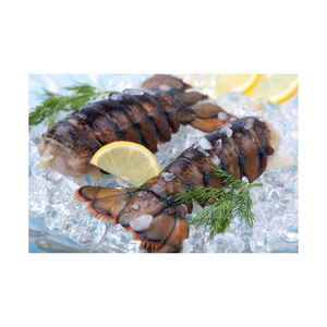 Queues de homard surgelées à prix avantageux, vente en gros, approvisionnement en vrac, fruits de mer frais surgelés - Product Image 3