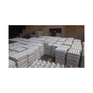 ไข่สดราคาประหยัด บรรจุภัณฑ์สำหรับการจัดหาอาหารเชิงพาณิชย์ - Product Image 5