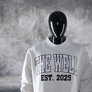 เดอะ เวล เอสท์ เสื้อสเวตเชิ้ตคอกลมแบบมีปก ปี 2025 ผลิตตามสั่ง แบรนด์ส่วนตัว ผ้าฝ้ายฟลีซหนานุ่ม ปักลายเชนีล สไตล์สตรีทแวร์ - Product Image 3