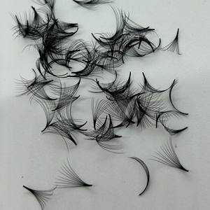 Extensiones de Pestañas Promade Hechas a Mano, 10D, Grosor 0.03/0.05/0.07, Curvatura C/CC/D/DD/M/L, Longitud 7-25mm, Base Puntiaguda, Logotipo Personalizado - Product Image 2