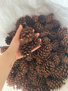 Wooden <b>Ornaments</b> <b>Large</b> Pine Cones Small Pine Cones Natural Pine Cones for Christmas Wreath DIY Natural Looking Pinecone - Product Image 4