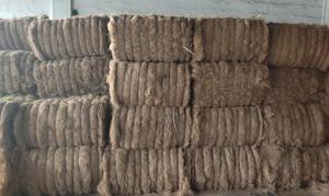 ใยมะพร้าว MDS Brown Coir Fiber เป็นมิตรต่อสิ่งแวดล้อม ย่อยสลายได้ทางชีวภาพ สำหรับการเพาะปลูกพืชสวน ทำสวน และการใช้งานในอุตสาหกรรม - Product Image 2