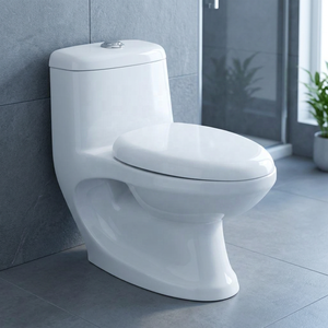 Export Quality Washdown Ceramic One-Piece Water Closet Toilet WC Commode Set - Made In India Sanitary Ware - Product Image 1