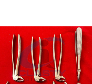 Professional Molar Extraction Forceps Stainless Steel Dental <b>Tooth</b> Removal <b>Tool</b> Hand Crafted Surgical Instrument - Product Image 4